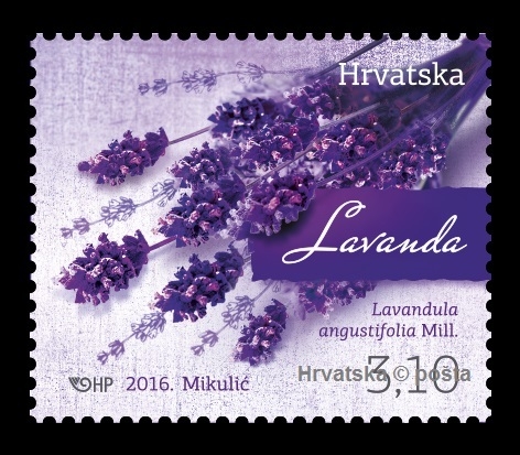 lavanda cla